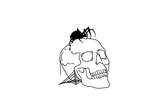 Download Skull with a Spider Crawling over It - Premium Bundle