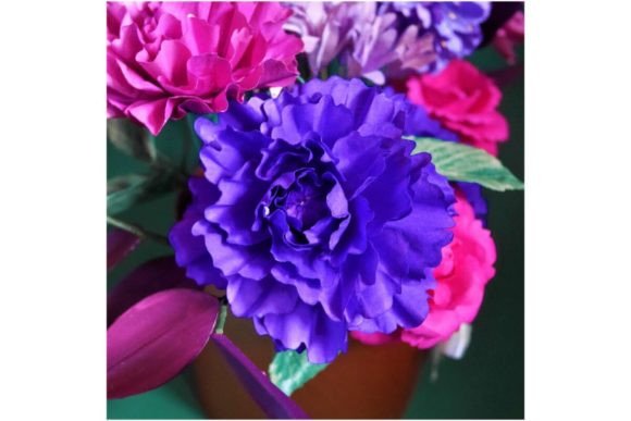 Download Seraphim Flower - Premium Resources