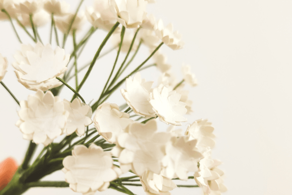 Download Baby's Breath - Premium Resources